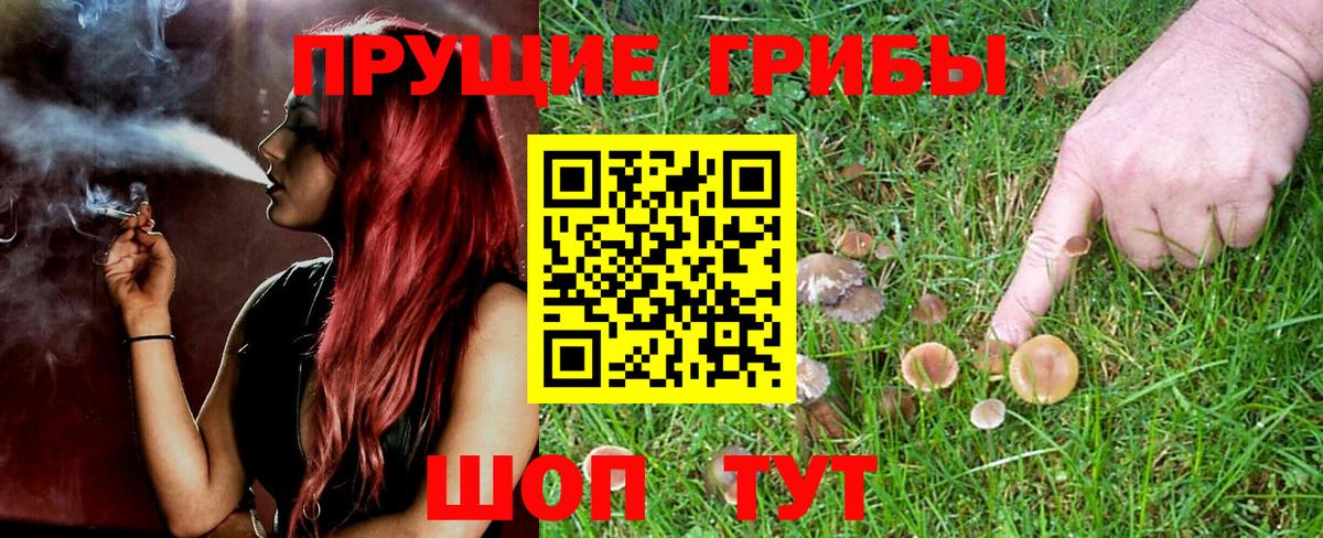 Псилоцибиновые грибы Cubensis  Вход с VPN  Балтийск 