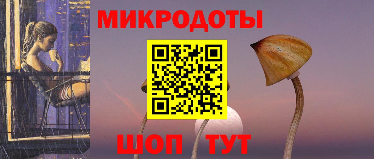 Галлюциногенные грибы Cubensis Балтийск